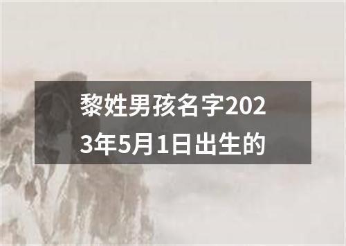 黎姓男孩名字2023年5月1日出生的