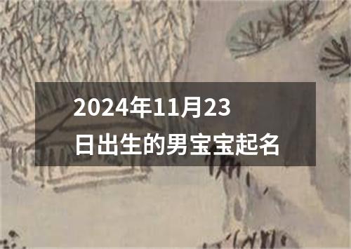 2024年11月23日出生的男宝宝起名
