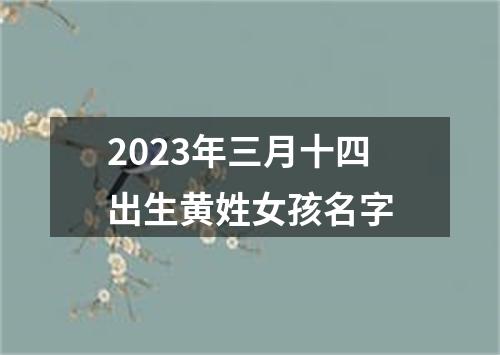 2023年三月十四出生黄姓女孩名字