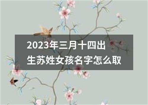2023年三月十四出生苏姓女孩名字怎么取