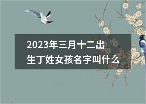 2023年三月十二出生丁姓女孩名字叫什么