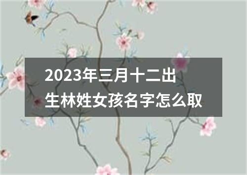 2023年三月十二出生林姓女孩名字怎么取
