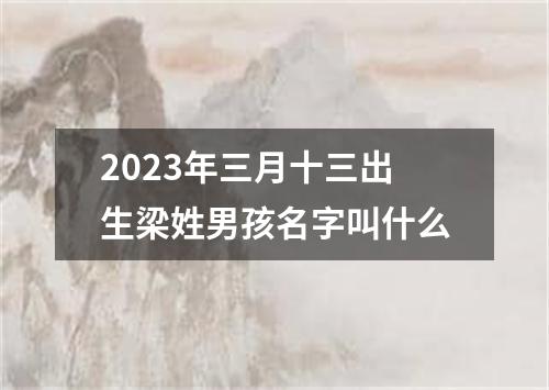 2023年三月十三出生梁姓男孩名字叫什么