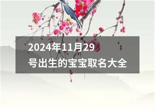 2024年11月29号出生的宝宝取名大全