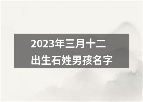 2023年三月十二出生石姓男孩名字