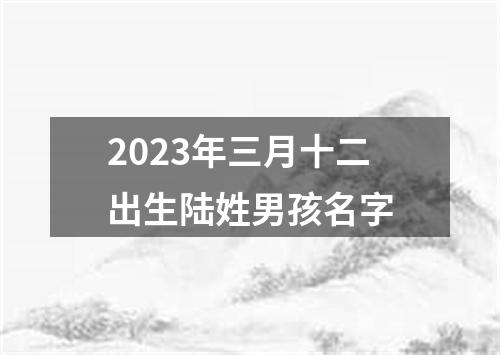 2023年三月十二出生陆姓男孩名字