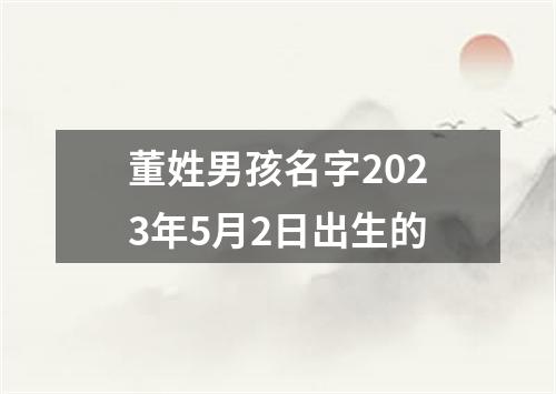 董姓男孩名字2023年5月2日出生的