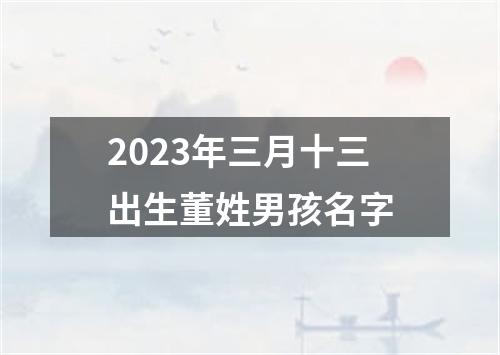 2023年三月十三出生董姓男孩名字