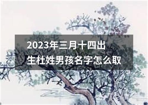 2023年三月十四出生杜姓男孩名字怎么取