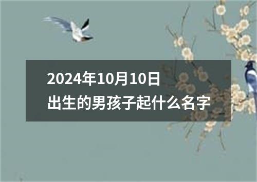 2024年10月10日出生的男孩子起什么名字