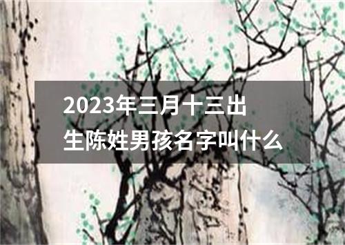 2023年三月十三出生陈姓男孩名字叫什么