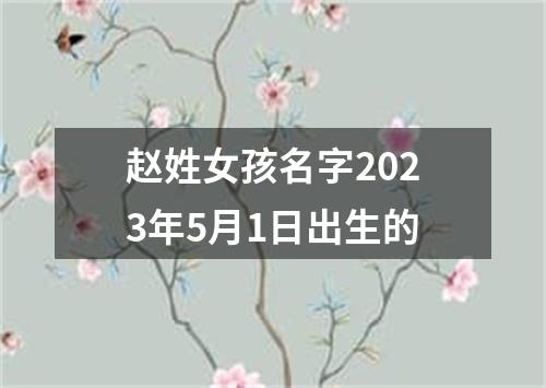 赵姓女孩名字2023年5月1日出生的