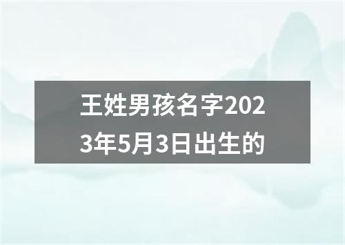 王姓男孩名字2023年5月3日出生的