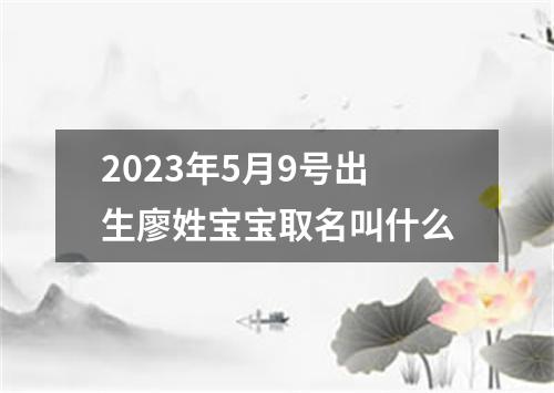 2023年5月9号出生廖姓宝宝取名叫什么