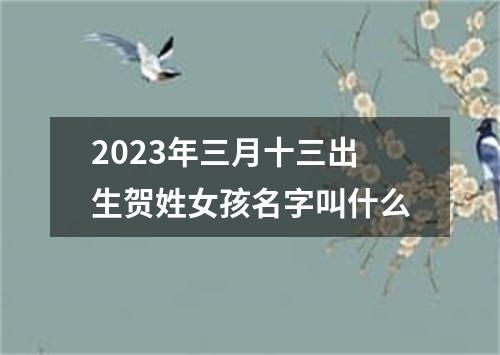 2023年三月十三出生贺姓女孩名字叫什么