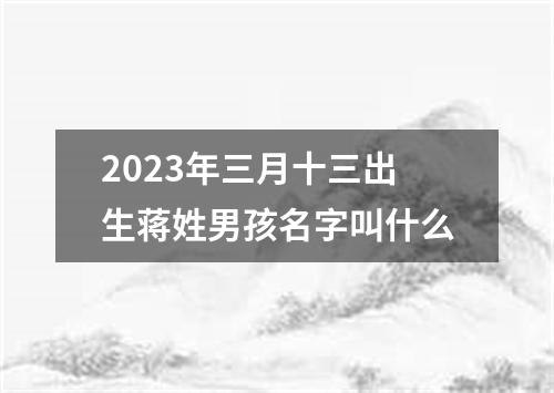 2023年三月十三出生蒋姓男孩名字叫什么