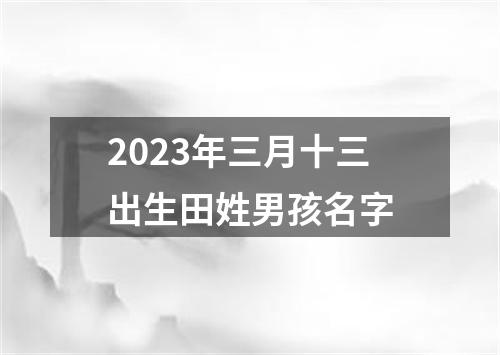 2023年三月十三出生田姓男孩名字