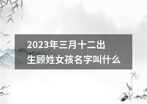 2023年三月十二出生顾姓女孩名字叫什么
