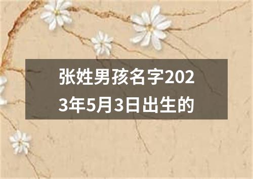 张姓男孩名字2023年5月3日出生的