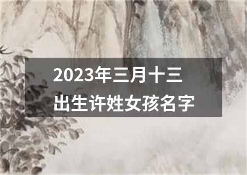 2023年三月十三出生许姓女孩名字