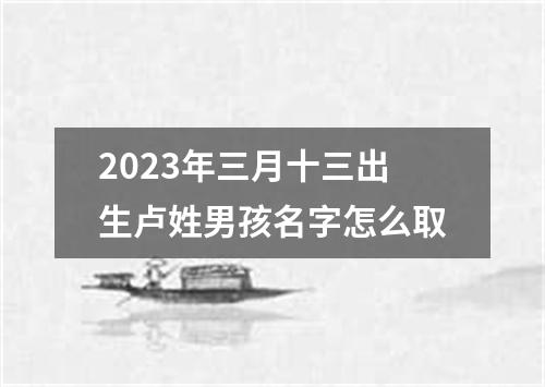 2023年三月十三出生卢姓男孩名字怎么取
