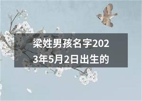 梁姓男孩名字2023年5月2日出生的