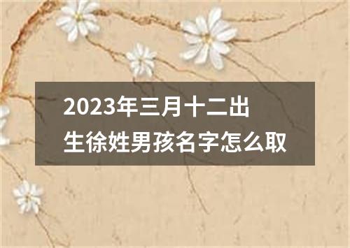 2023年三月十二出生徐姓男孩名字怎么取