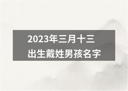 2023年三月十三出生戴姓男孩名字