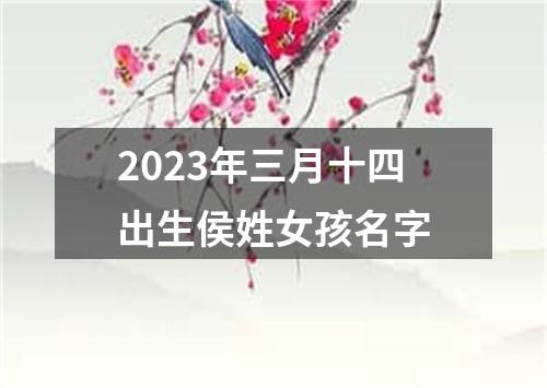 2023年三月十四出生侯姓女孩名字