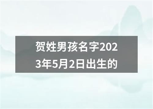 贺姓男孩名字2023年5月2日出生的