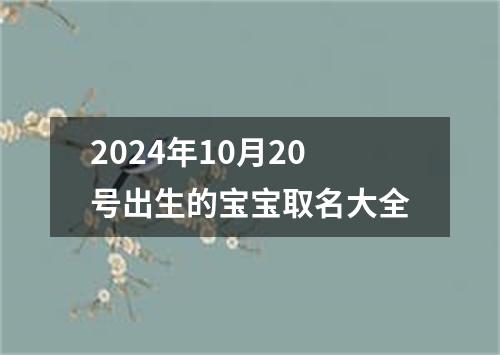 2024年10月20号出生的宝宝取名大全
