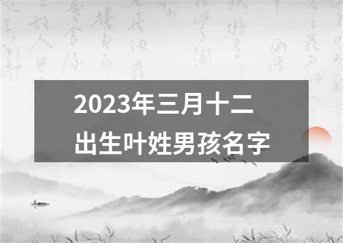 2023年三月十二出生叶姓男孩名字