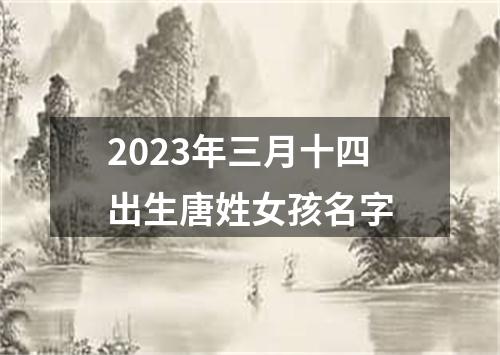 2023年三月十四出生唐姓女孩名字
