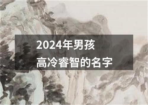 2024年男孩高冷睿智的名字