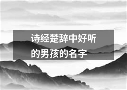 诗经楚辞中好听的男孩的名字