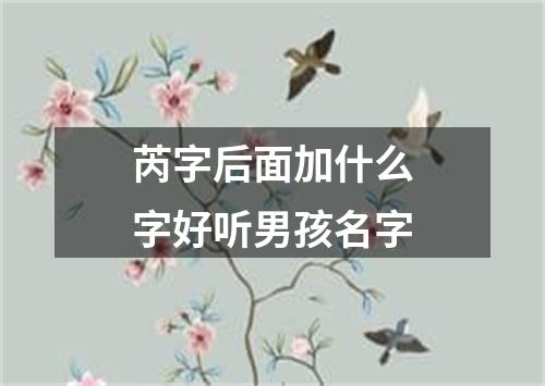 芮字后面加什么字好听男孩名字