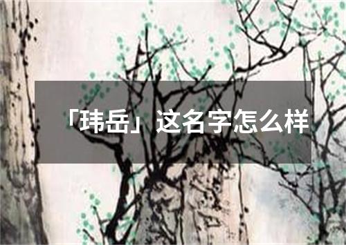 「玮岳」这名字怎么样