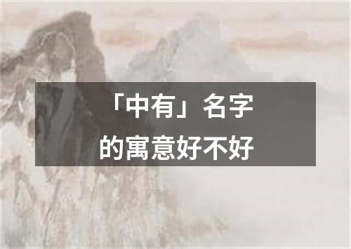 「中有」名字的寓意好不好