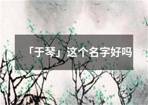 「于琴」这个名字好吗