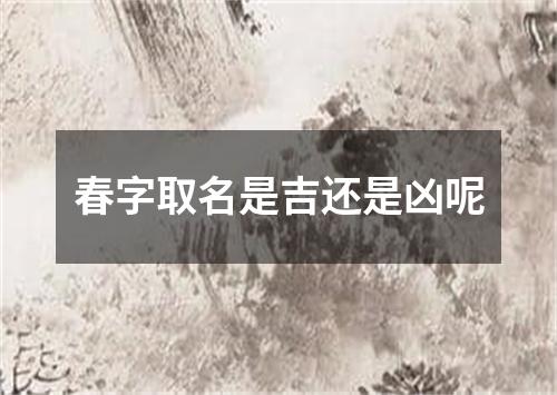 春字取名是吉还是凶呢