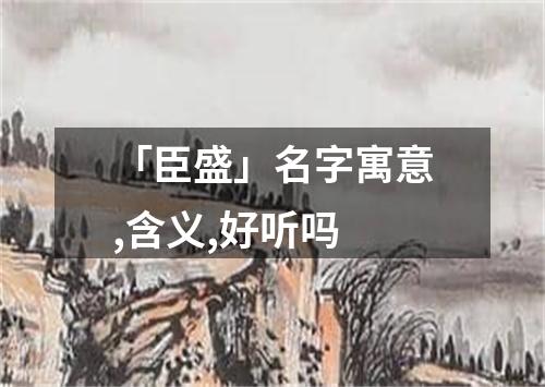 「臣盛」名字寓意,含义,好听吗