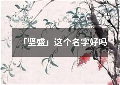 「坚盛」这个名字好吗