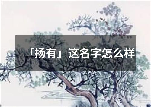 「扬有」这名字怎么样