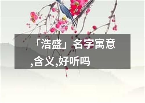 「浩盛」名字寓意,含义,好听吗