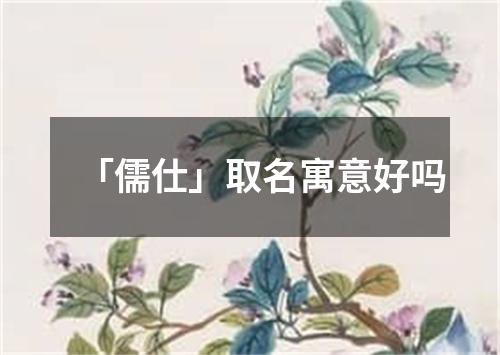 「儒仕」取名寓意好吗