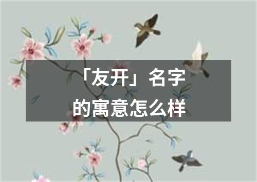 「友开」名字的寓意怎么样