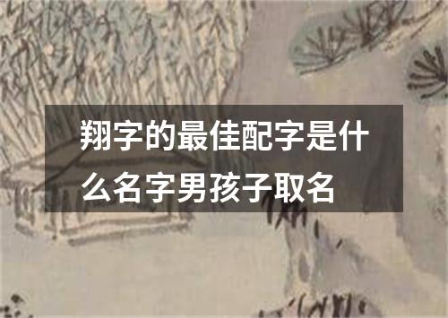 翔字的最佳配字是什么名字男孩子取名