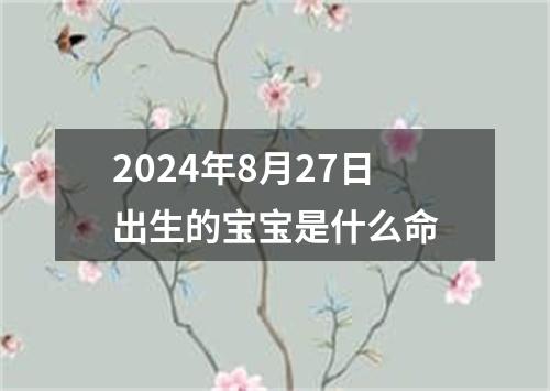 2024年8月27日出生的宝宝是什么命