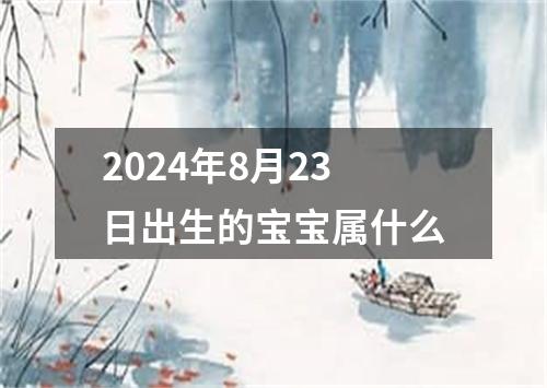 2024年8月23日出生的宝宝属什么