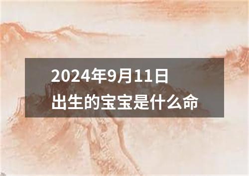 2024年9月11日出生的宝宝是什么命